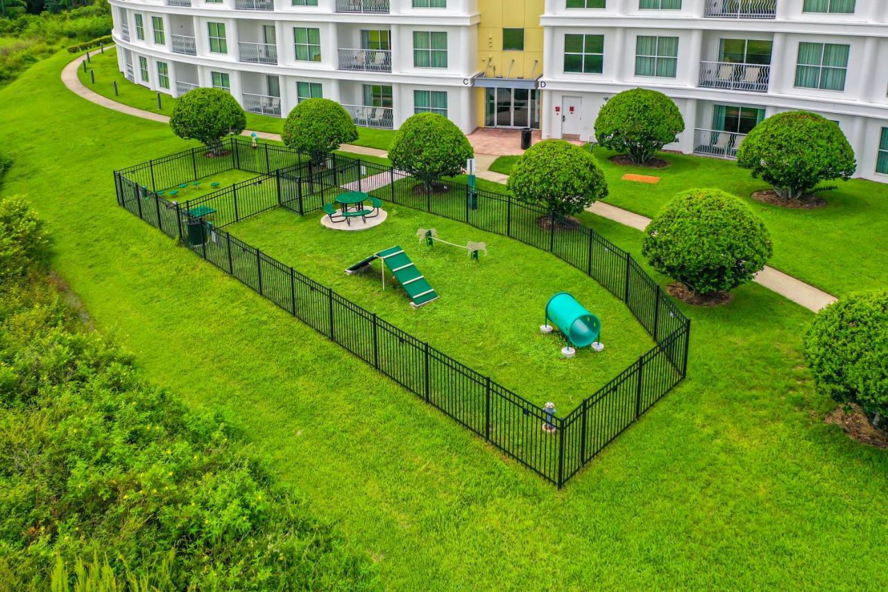 Pet Friendly In Orlando Area Near Disney Celebration Bagian luar foto