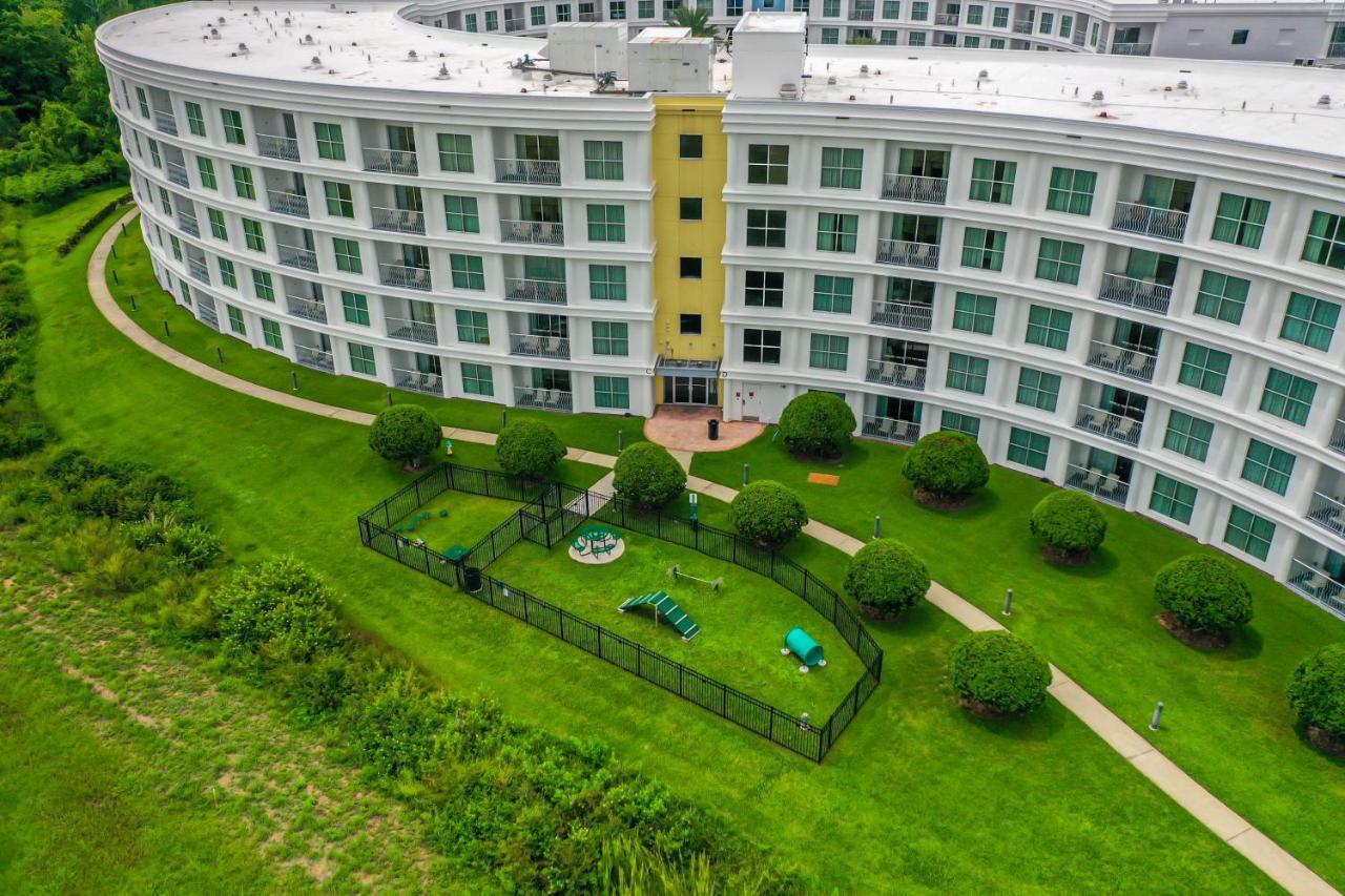 Pet Friendly In Orlando Area Near Disney Celebration Bagian luar foto